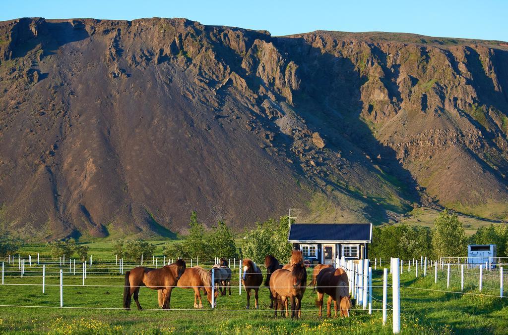 Akurgerthi Guesthouse 2 - Country Life Style Olfus Екстер'єр фото