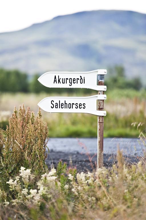 Akurgerthi Guesthouse 2 - Country Life Style Olfus Екстер'єр фото