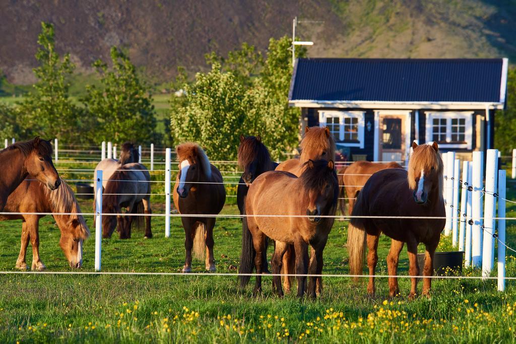 Akurgerthi Guesthouse 2 - Country Life Style Olfus Екстер'єр фото